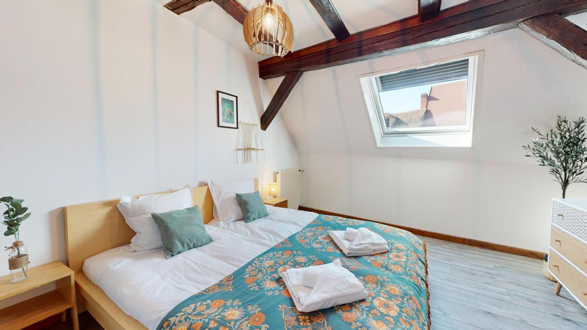 Apartmán Le Petit Chez Vous Colmar Exteriér fotografie